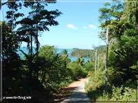 faune et flore de l'ile de Koh Chang en Thaïlande