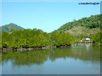 Faune et flore de Koh Chang, Écosystème tropical de Koh Chang, Biodiversité à Koh Chang, Préservation environnementale à Koh Chang, Forêt tropicale immaculée de Koh Chang, Vie sauvage à Koh Chang, Parcs nationaux de Koh Chang, Zones protégées de Koh Chang, Observations d'oiseaux à Koh Chang, Randonnée écologique à Koh Chang, Plantes endémiques de Koh Chang, Écosystème côtier de Koh Chang, Mangroves de Koh Chang, Récifs coralliens à Koh Chang, Plongée écologique à Koh Chang, Préservation de la nature à Koh Chang, Responsabilité environnementale à Koh Chang, Excursions écologiques à Koh Chang, Écotourisme à Koh Chang, Découverte de la faune et la flore à Koh Chang
